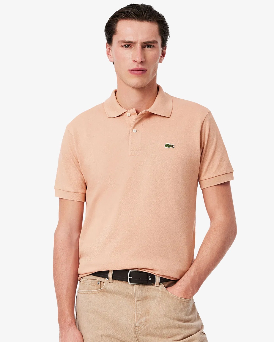 Polo Modelleri