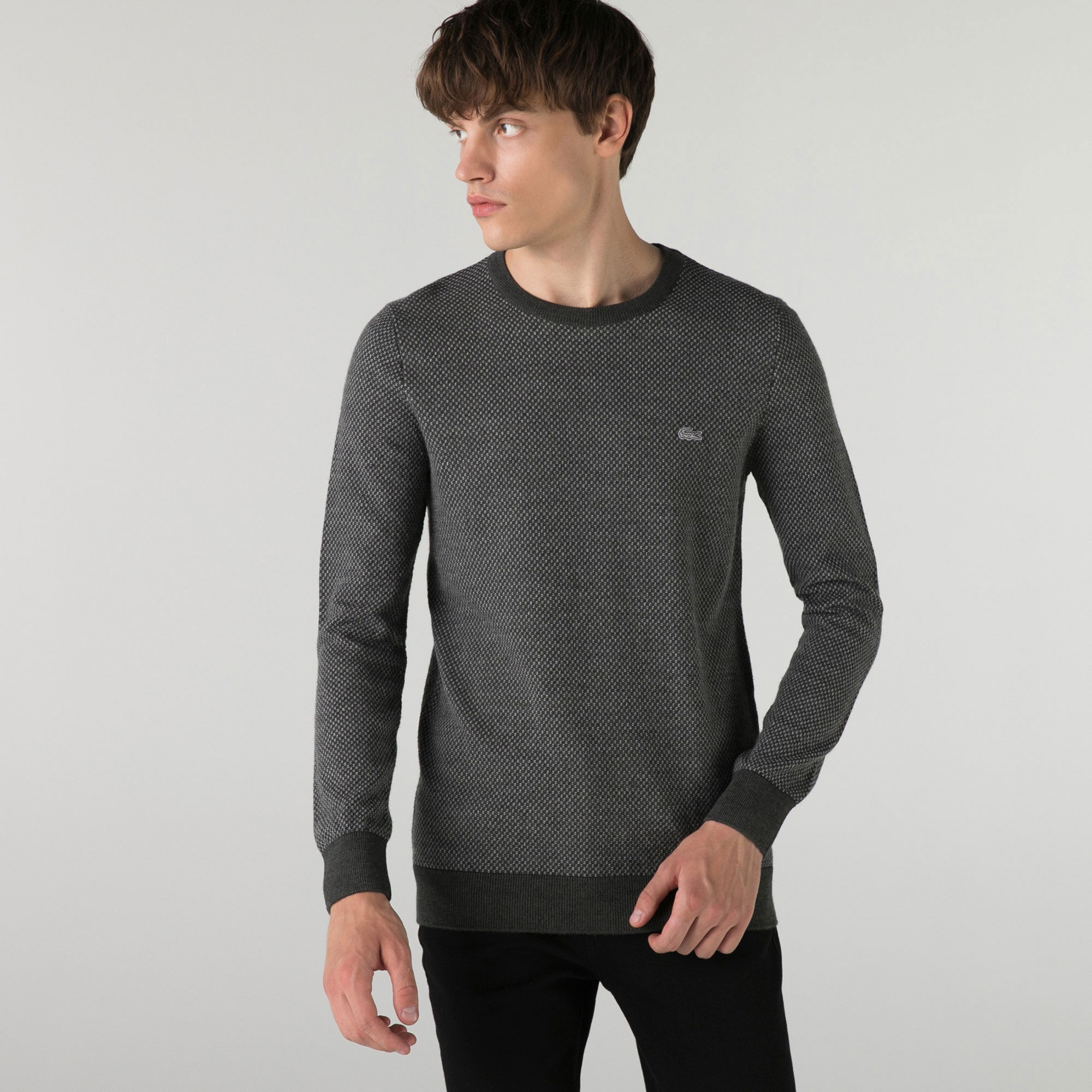 Lacoste Erkek Regular Fit Bisiklet Yaka Desenli Gri Kazak