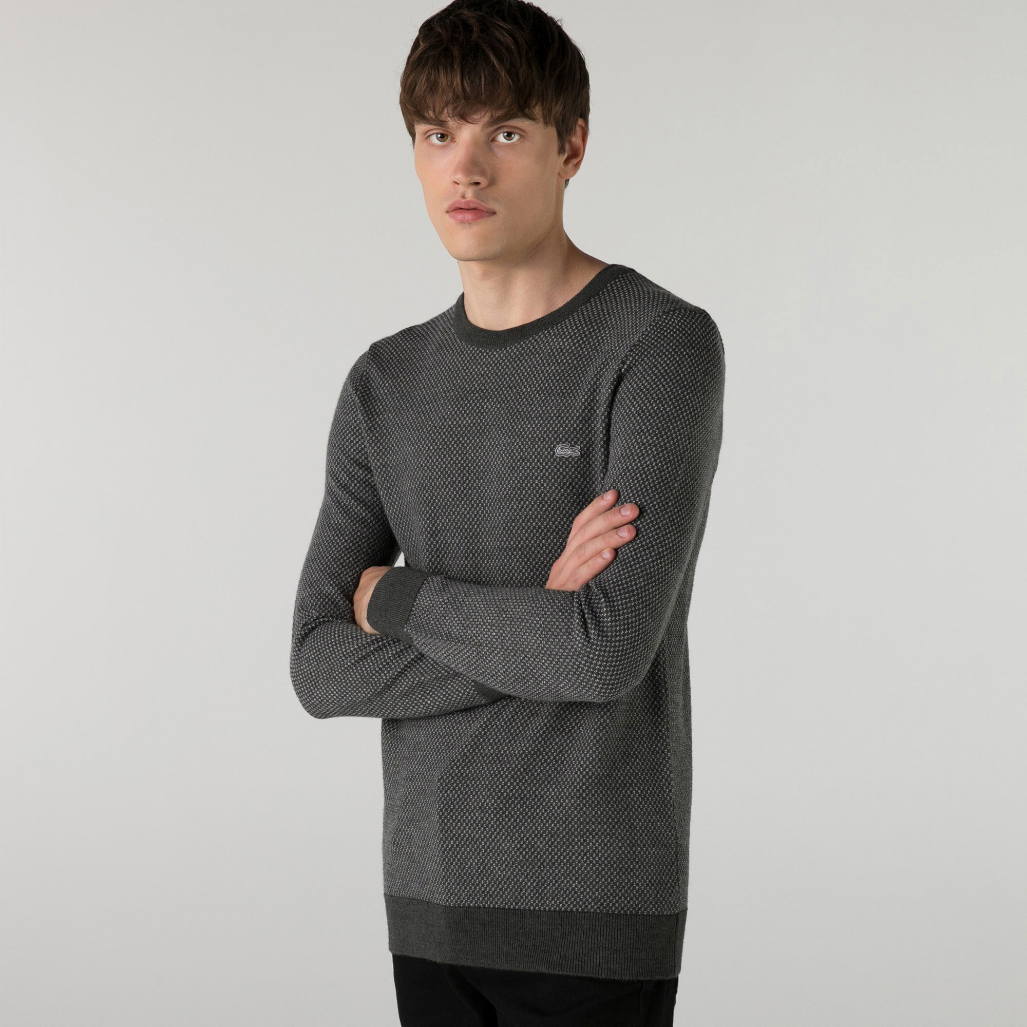 Lacoste Erkek Regular Fit Bisiklet Yaka Desenli Gri Kazak