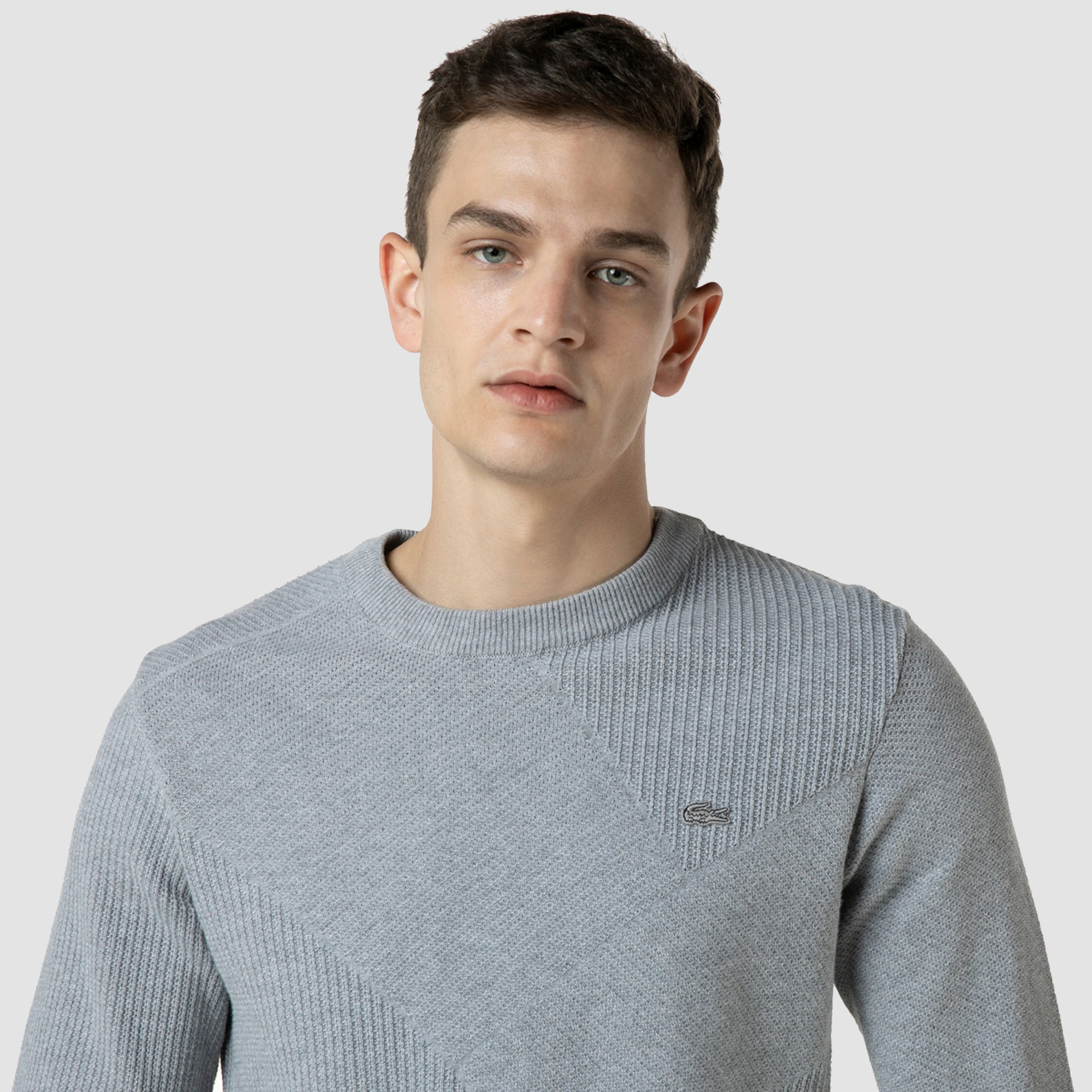 Lacoste Erkek Regular Fit Bisiklet Yaka Renk Bloklu Gri Kazak