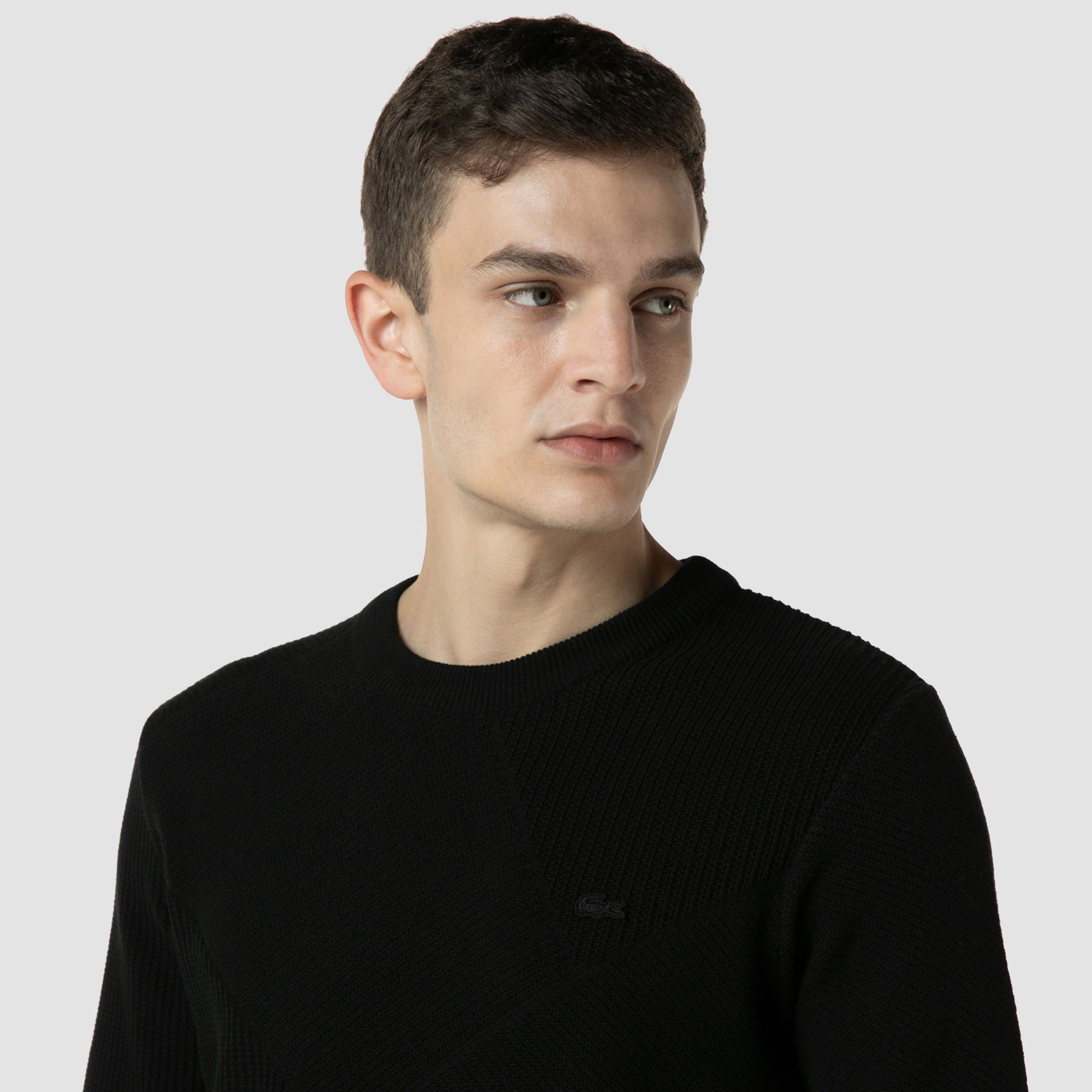 Lacoste Erkek Regular Fit Bisiklet Yaka Siyah Kazak