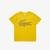 Lacoste Erkek Çocuk Bisiklet Yaka Baskılı Sarı T-ShirtSarı
