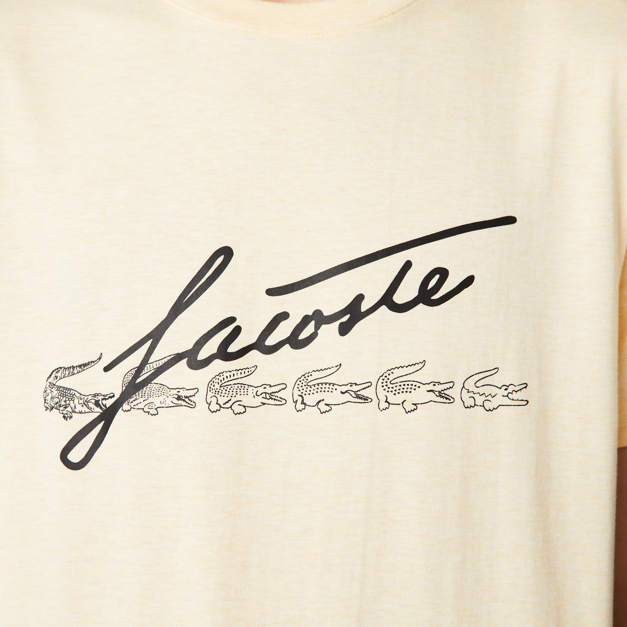 Lacoste Erkek Regular Fit Bisiklet Yaka Baskılı Bej T-Shirt
