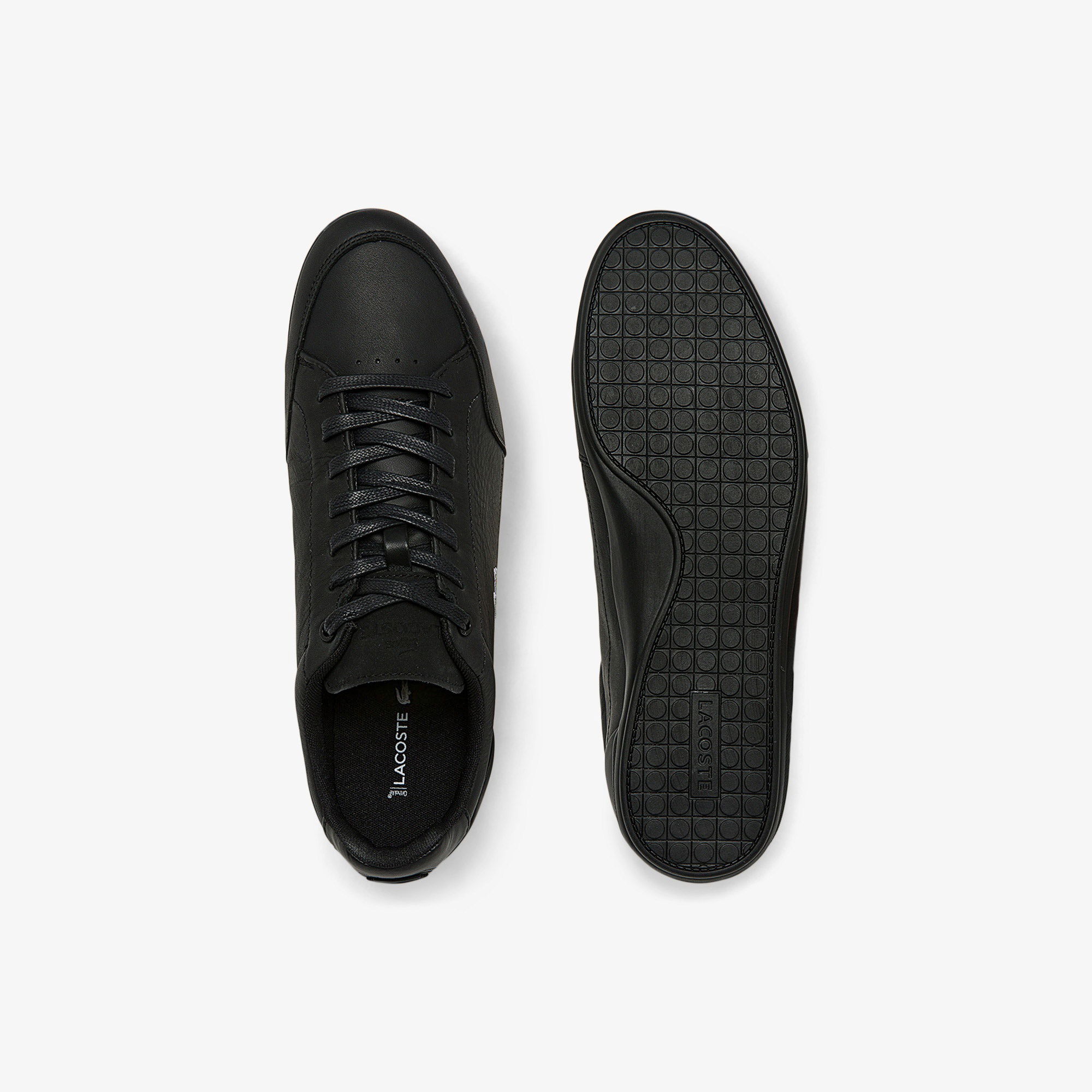 Lacoste Chaymon Erkek Siyah Sneaker