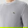 Lacoste Erkek Bisiklet Yaka Çizgili Gri Kazak