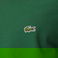 Lacoste Erkek Regular Fit Bisiklet Yaka Yeşil T-Shirt