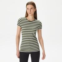 Lacoste Kadın Slim Fit Bisiklet Yaka Çizgili Yeşil T-Shirt316