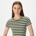 Lacoste Kadın Slim Fit Bisiklet Yaka Çizgili Yeşil T-Shirt