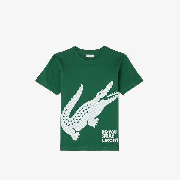 Lacoste Erkek Çocuk Yeşil T-shirt
