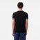 Lacoste Erkek Regular Fit Renk Bloklu Gri Polo
