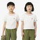 Lacoste Çocuk Bisiklet Yaka Krem T-Shirt